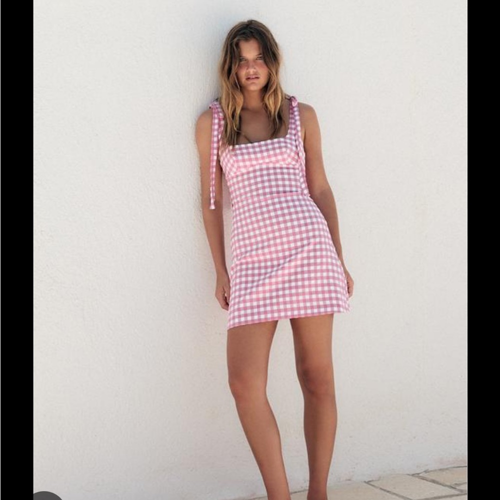 Zara Pink Gingham Mini Dress